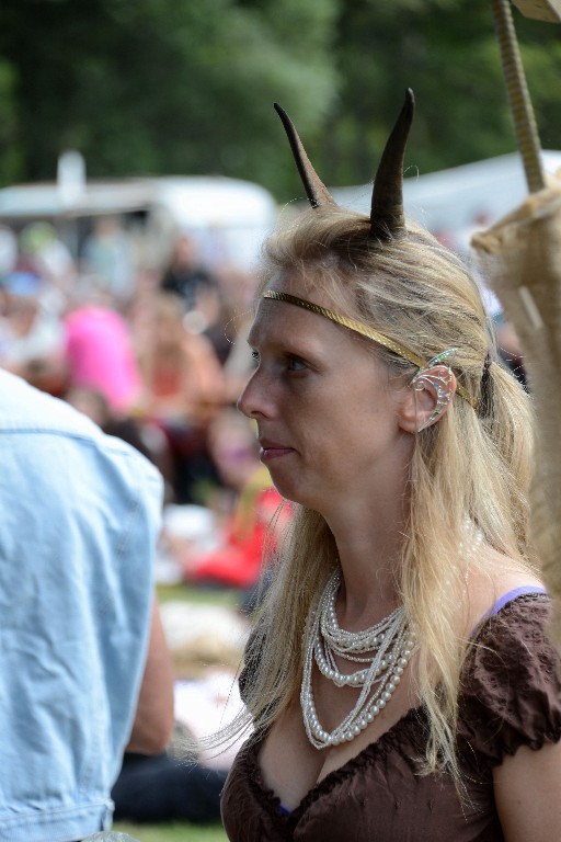 ../Images/Vrijdag Castlefest 2015 041.jpg